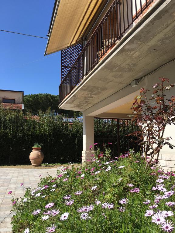 Appartement La Casa Di Nila à Pise Extérieur photo